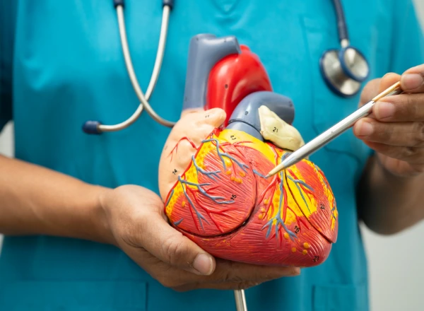 Cardiovascular Panels